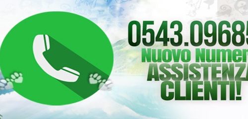 NUOVO NUMERO ASSISTENZA ONLINE thumb