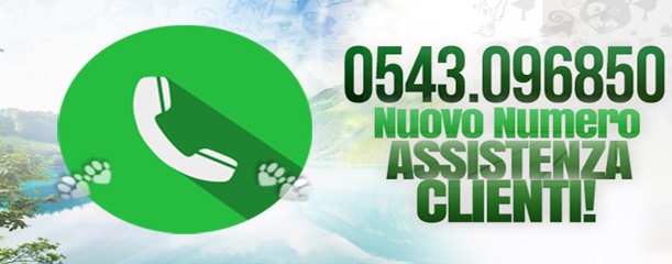 NUOVO NUMERO ASSISTENZA ONLINE cover