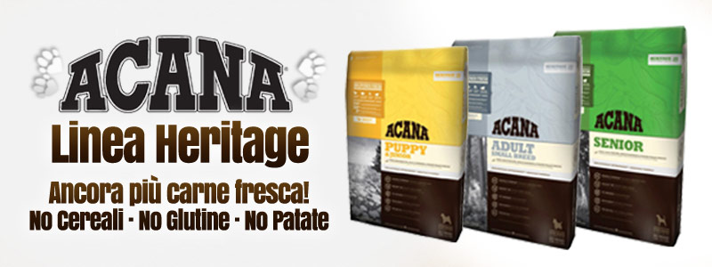 NUOVE ACANA SINGLES cover