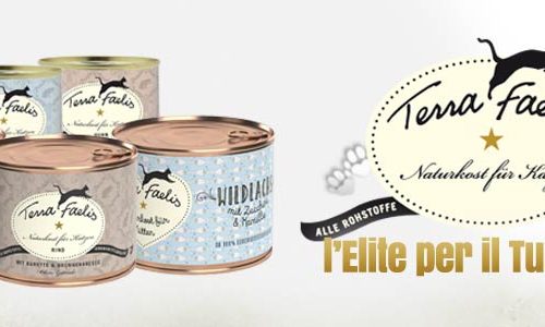 NUOVI TERRA FAELIS thumb