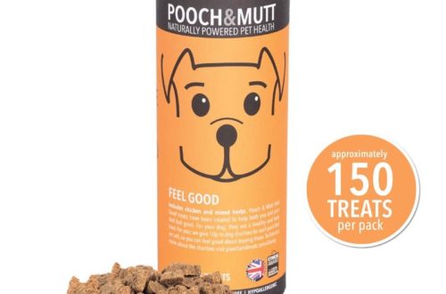NUOVI POOCH and MUTT thumb