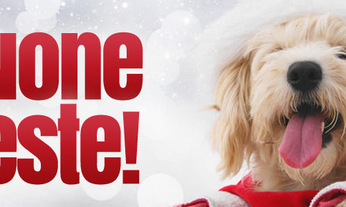 NATALE CON ROBINSON thumb