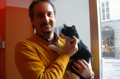 Fiv, conoscerla per non temerla thumb