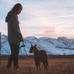 passeggiata con il cane
