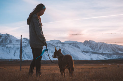 L’importanza della passeggiata con il cane thumb
