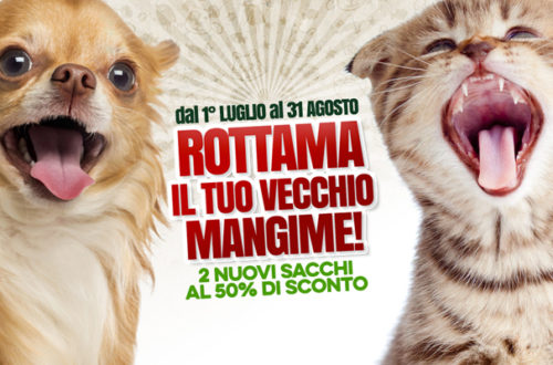 Estate, è tempo di rottamazione! thumb