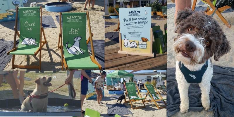 Il primo weekend di agosto tutti in spiaggia con il cane assieme a Robinson e Lily’s Kitchen cover