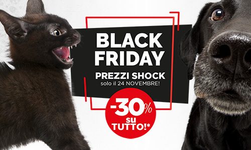 Black Friday, il 24 Novembre tutto al 30% di sconto! thumb
