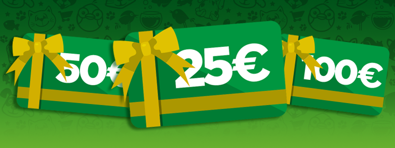 Idee regalo? Robinson Gift Card! cover