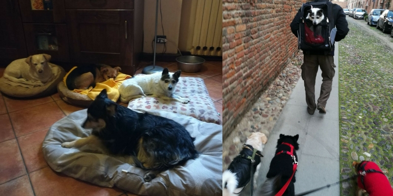 Melody, quando la vita inizia nella vecchiaia cover