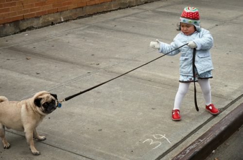 Cani e bambini: regole d’oro per una felice convivenza thumb