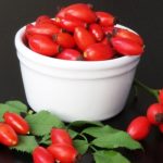 rosa canina