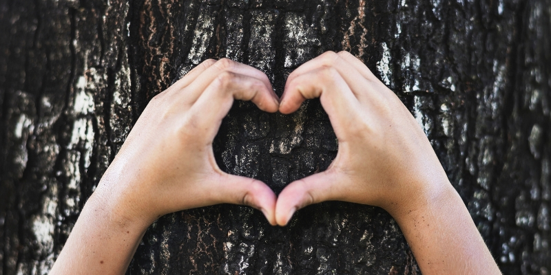 Raccolta differenziata, prodotti ecologici alla riscossa cover