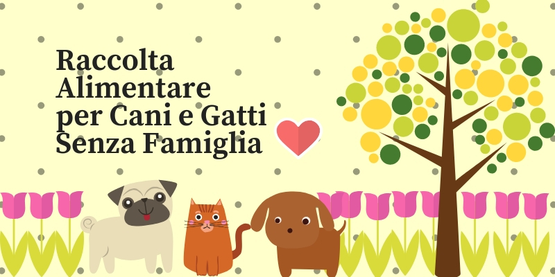 Raccolte alimentari per animali senza famiglia cover