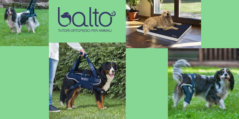 Tutori per cani, l’artigianalità italiana dei supporti Balto cover