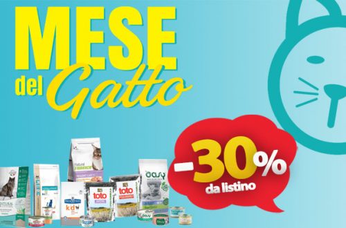 Dicembre, a Riccione si festeggia il mese del gatto con sconti del 30% thumb
