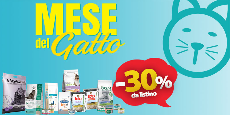 Dicembre, a Riccione si festeggia il mese del gatto con sconti del 30% cover