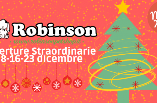 Dicembre, mese di aperture straordinarie da Robinson! thumb
