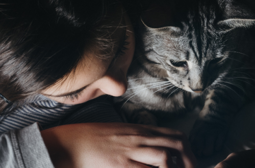 Crescere con animali domestici in casa protegge i bambini dalle allergie thumb