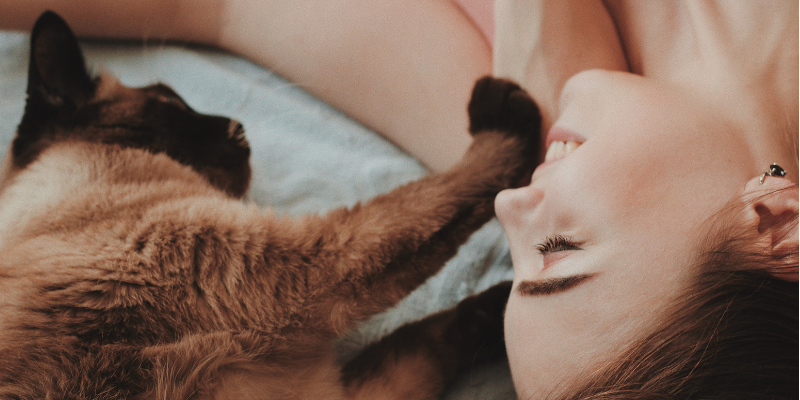 Gatti affettuosi, una ricerca dimostra che non sono affatto una eccezione cover
