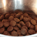 ciotola-di-crocchette-per-cani