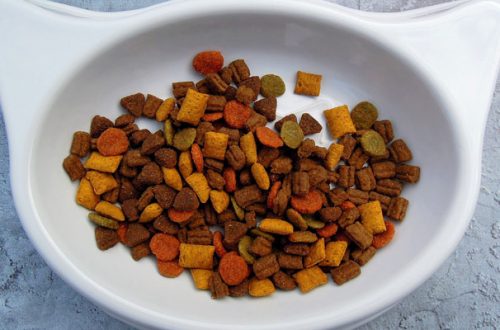 Scegliere mangimi di qualità per cani o gatti: ecco come leggere le etichette thumb