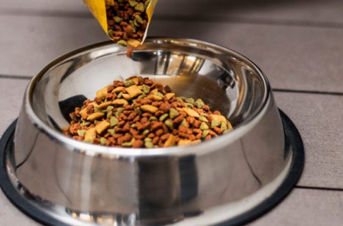 Additivi e conservanti nel cibo per animali: quali sono dannosi? thumb