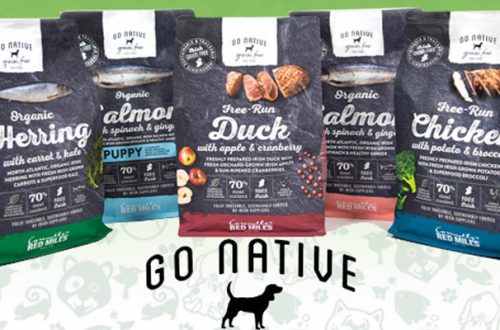Go Native: il mondo che vorremmo è già a portata di mano thumb