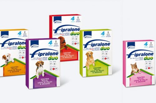 Fipralone, l’antiparassitario semplice ed economico per cani e gatti thumb