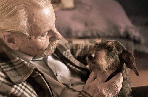 Anziani e animali: così la compagnia dei pet migliora la loro salute thumb