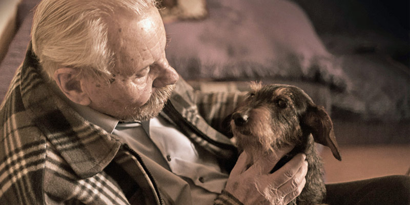 Anziani e animali: così la compagnia dei pet migliora la loro salute cover