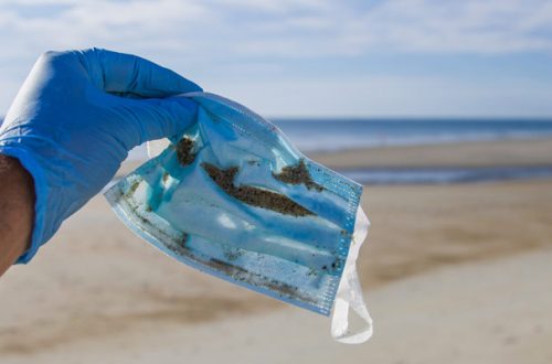 Più mascherine che meduse in mare? La triste previsione degli ambientalisti thumb