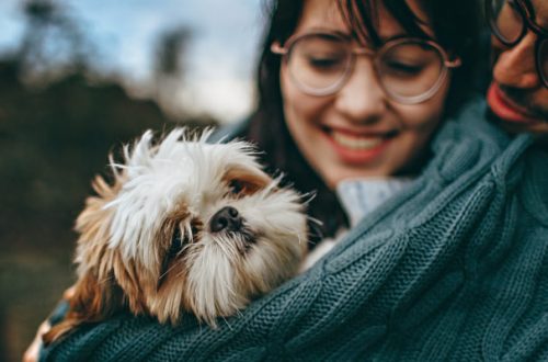 Relazione uomo-animale, un mutuo scambio di benessere thumb