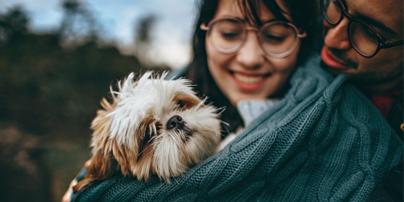 Relazione uomo-animale, un mutuo scambio di benessere cover