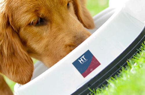 HT Healthy and Tasty, mangime italiano di grande qualità per cani thumb