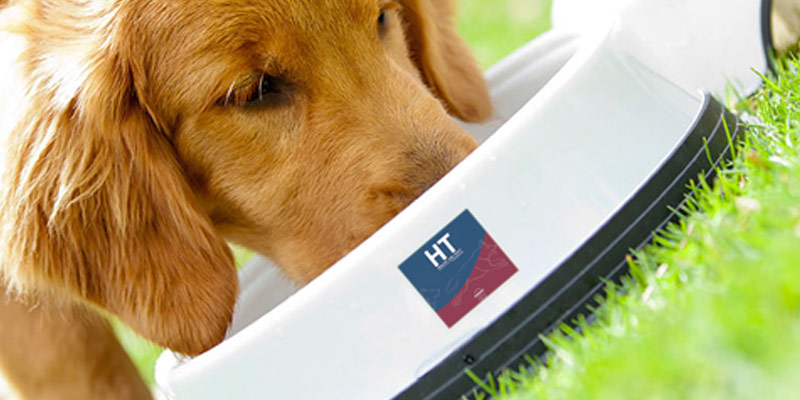 HT Healthy and Tasty, mangime italiano di grande qualità per cani cover
