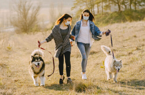 Si può portare il cane a passeggio se si è in zona rossa? thumb