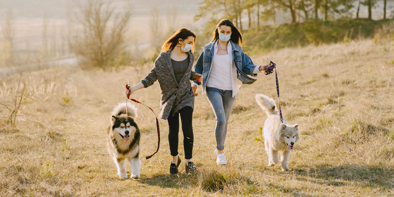 Si può portare il cane a passeggio se si è in zona rossa? cover