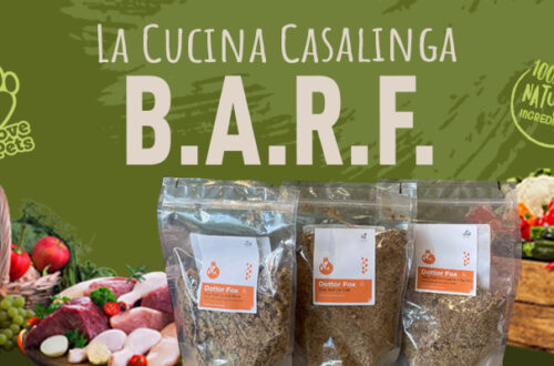La Dieta Barf Made In Italy di Dottor Fox thumb