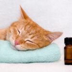 aromaterapia