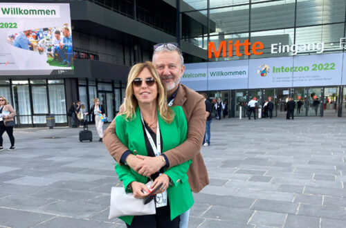 Robinson @ Interzoo – Norimberga thumb