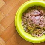 Miglior cibo umido per cani