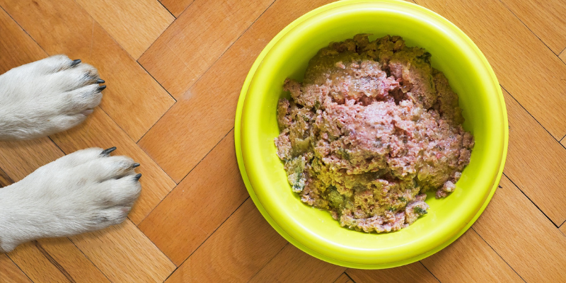 Scegliere il miglior cibo umido per cani: la classifica cover