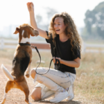 Migliori Snack per l'addestramento del cane