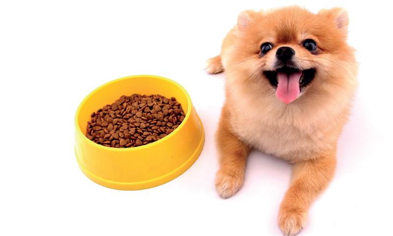 Crocchette monoproteiche per cani con sensibilità alimentari