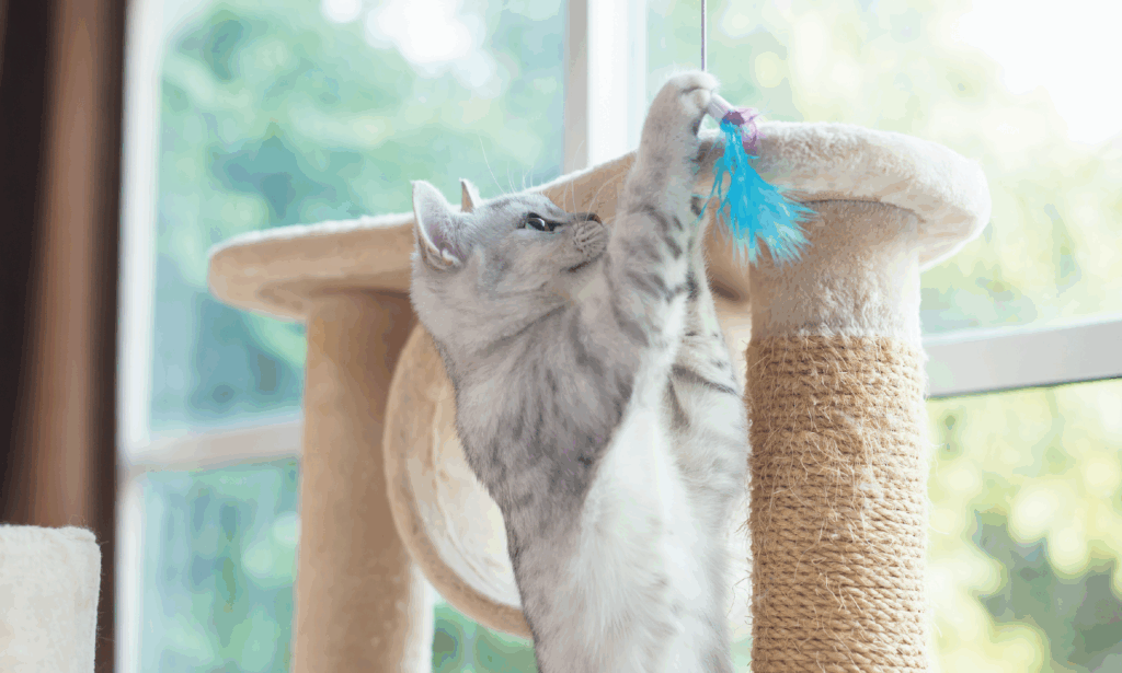 Idee arricchimento amb