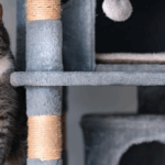 Arricchimento ambientale gatto