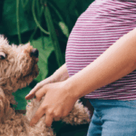 Come preparare il Cane o il Gatto all'arrivo di un neonato