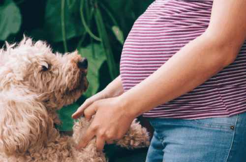 Bebè in arrivo? Come Preparare il tuo Cane o Gatto a Questo Nuovo Inizio! thumb