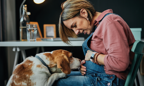 Incontro tra animale domenistico e bebè
